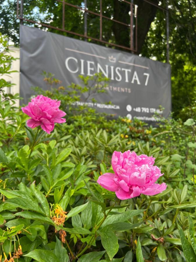 Cienista 7 Apartments Lądek-Zdrój Eksteriør bilde